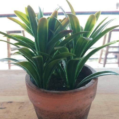 สมาชิกหมายเลข 1851864