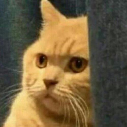 สมาชิกหมายเลข 5806529