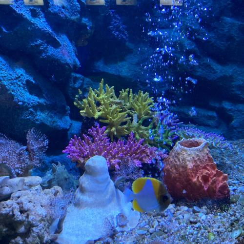 สมาชิกหมายเลข 6408542