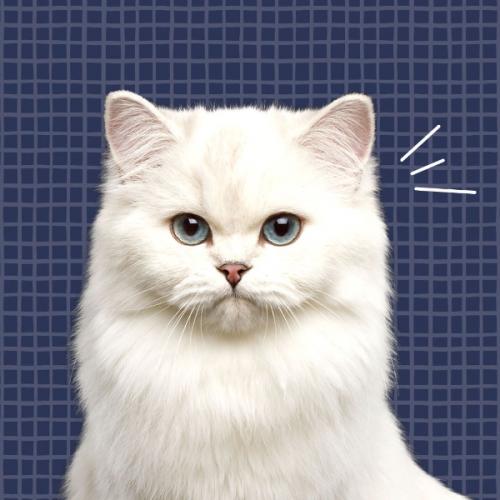 สมาชิกหมายเลข 6940243