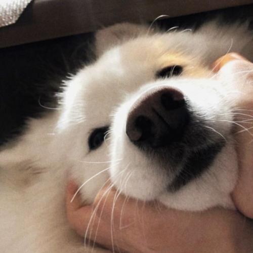 สมาชิกหมายเลข 3331875