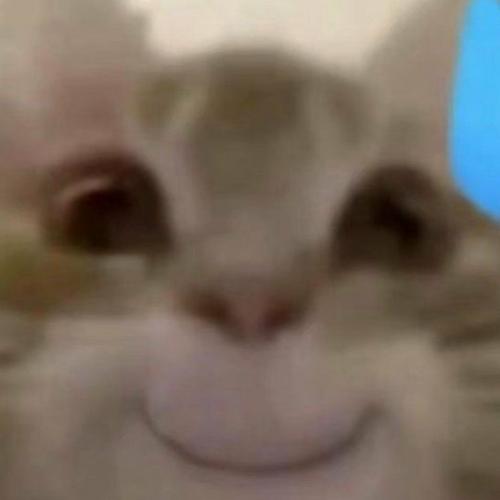 สมาชิกหมายเลข 7879307