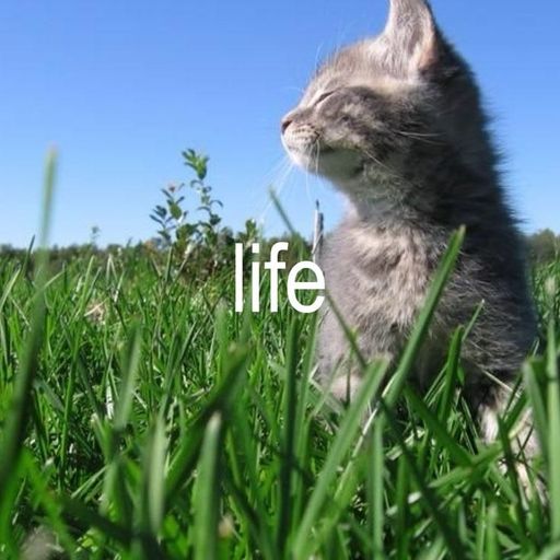 สมาชิกหมายเลข 8330270