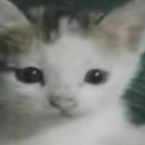 สมาชิกหมายเลข 9286701