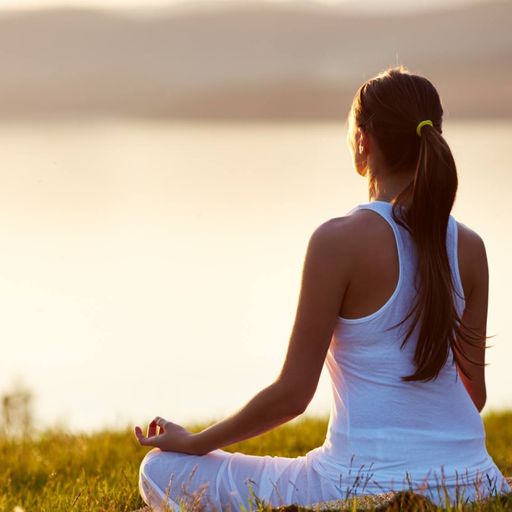 สมาชิกหมายเลข 9287198