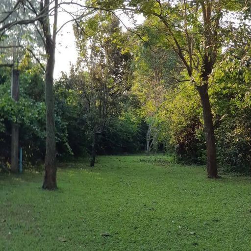 สมาชิกหมายเลข 9287460