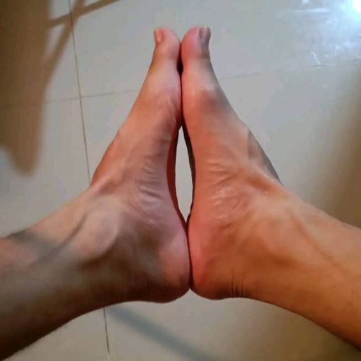 สมาชิกหมายเลข 9287899