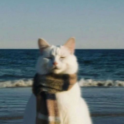 สมาชิกหมายเลข 9288222