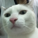 สมาชิกหมายเลข 4502125