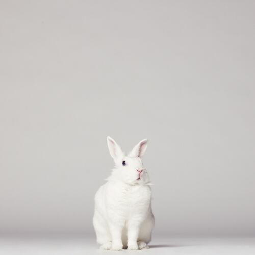 สมาชิกหมายเลข 4590665