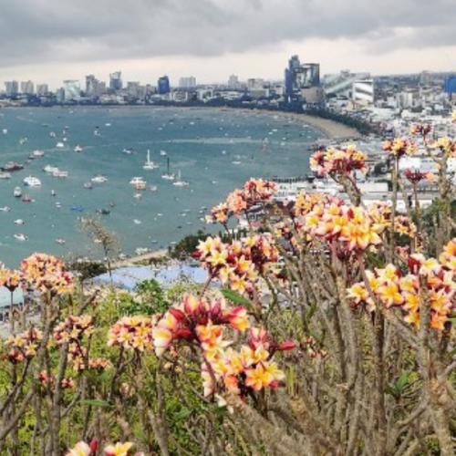 สมาชิกหมายเลข 3870720