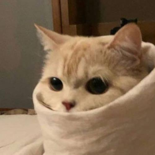 สมาชิกหมายเลข 6409275