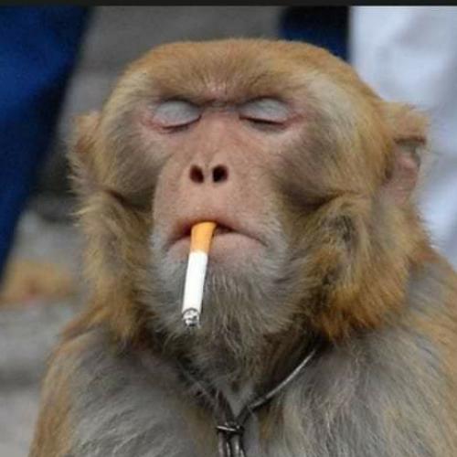 สมาชิกหมายเลข 7097693