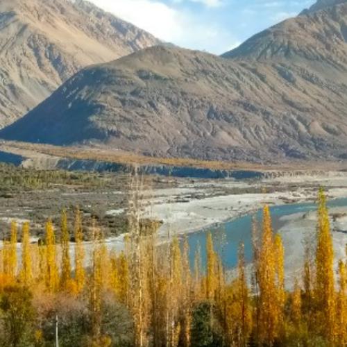 สมาชิกหมายเลข 783899