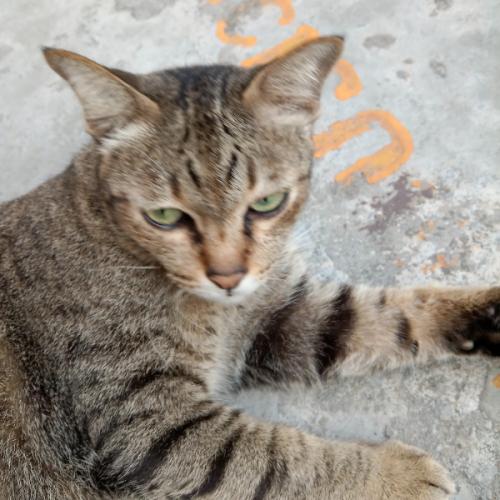 สมาชิกหมายเลข 7876086