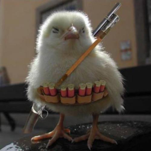 สมาชิกหมายเลข 4757167