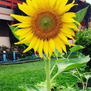 สมาชิกหมายเลข 2825244