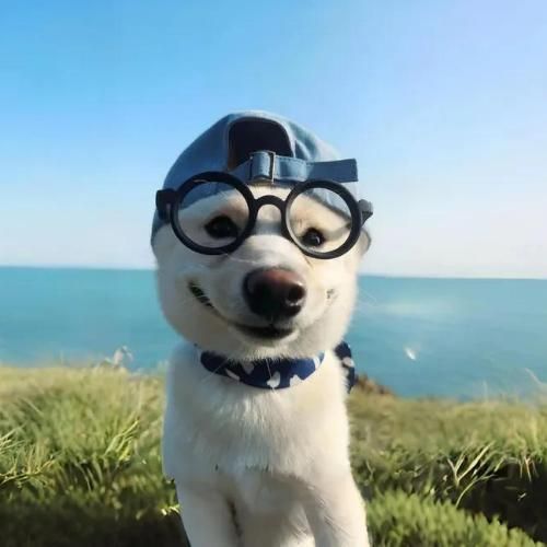 สมาชิกหมายเลข 7433315