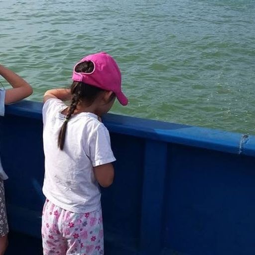 สมาชิกหมายเลข 8016058