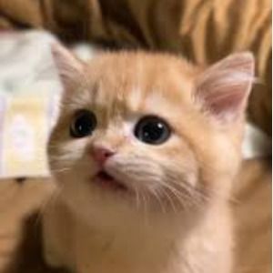 สมาชิกหมายเลข 9288949