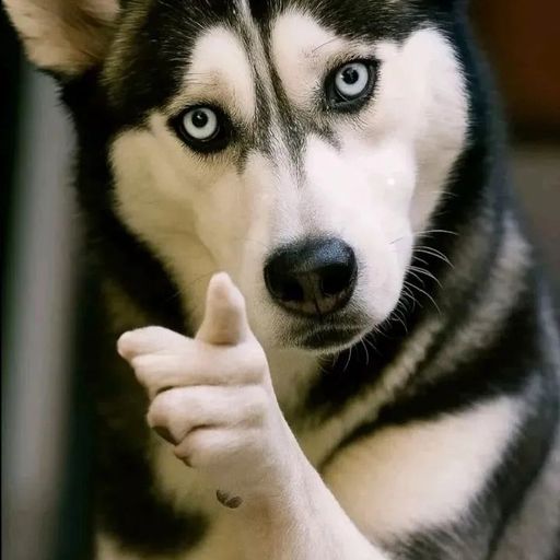 สมาชิกหมายเลข 9289195