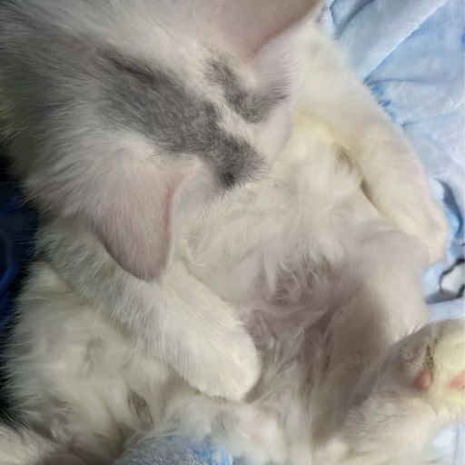 สมาชิกหมายเลข 9289499