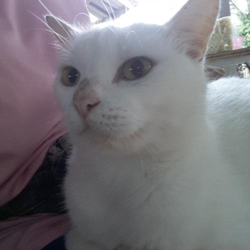 สมาชิกหมายเลข 4591055