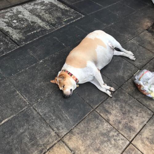 สมาชิกหมายเลข 1727573