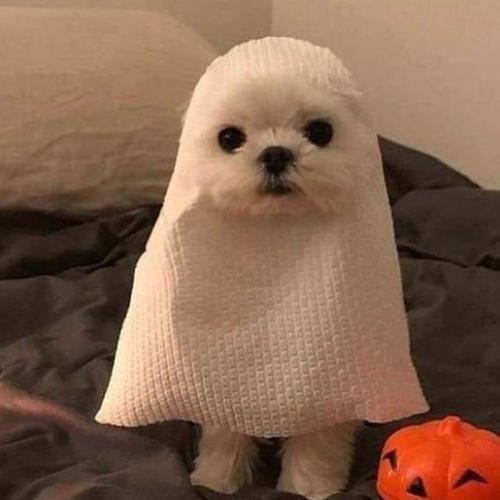 สมาชิกหมายเลข 1848549