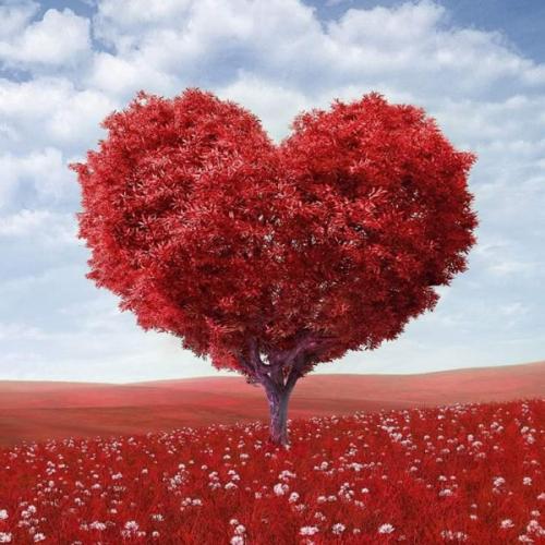 สมาชิกหมายเลข 2717744