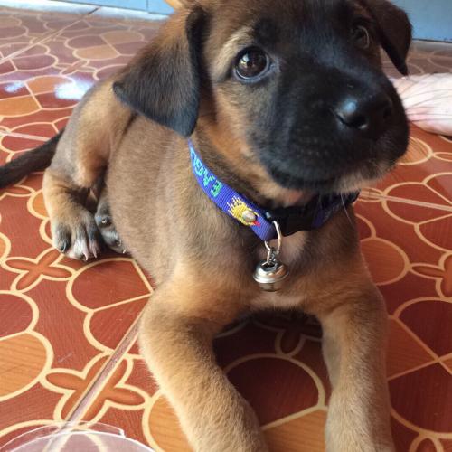 สมาชิกหมายเลข 3056837