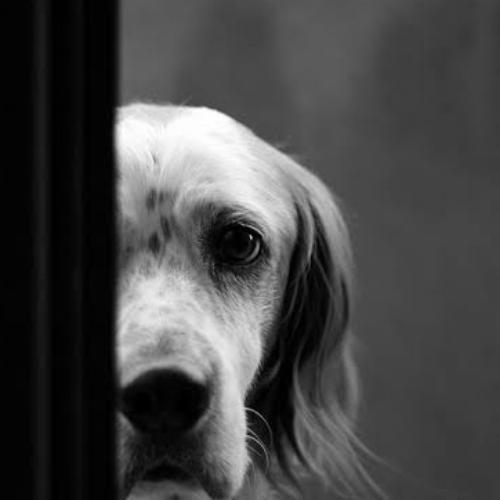 สมาชิกหมายเลข 4937312