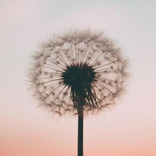 สมาชิกหมายเลข 4937383