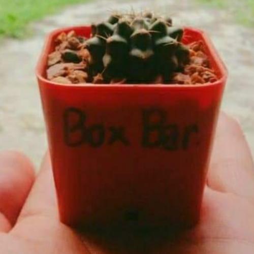 สมาชิกหมายเลข 5807379