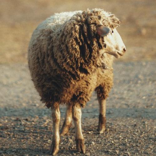 สมาชิกหมายเลข 1478559