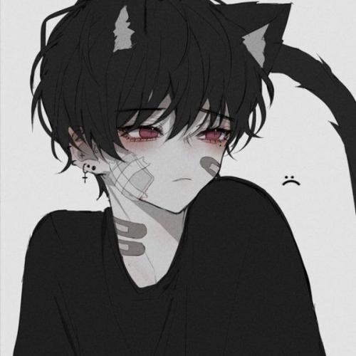 สมาชิกหมายเลข 5259557