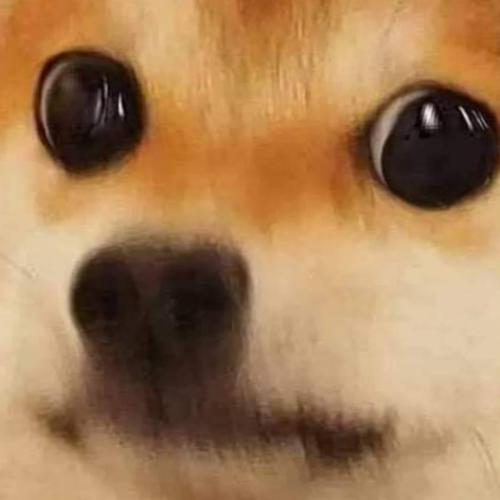 สมาชิกหมายเลข 6409681