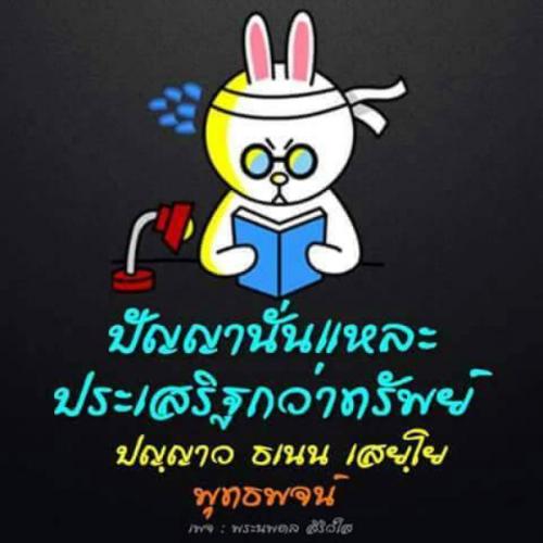 สมาชิกหมายเลข 3281507