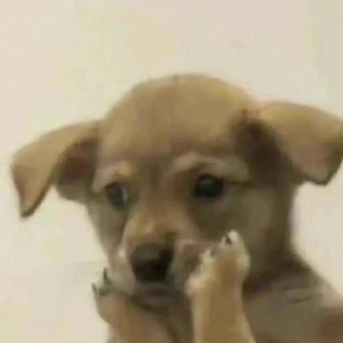 สมาชิกหมายเลข 6946909