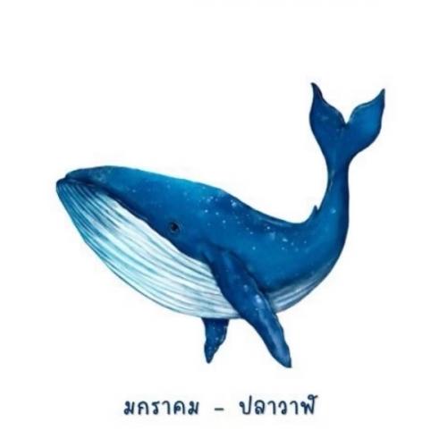 สมาชิกหมายเลข 8893844