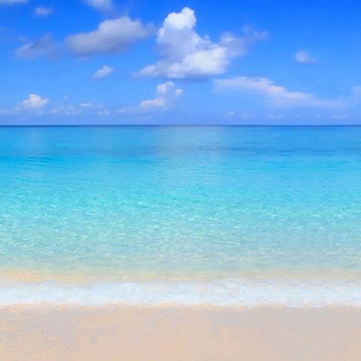 สมาชิกหมายเลข 3223644