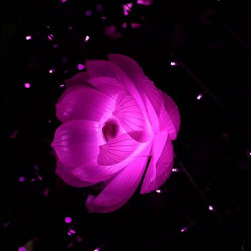 สมาชิกหมายเลข 5030215