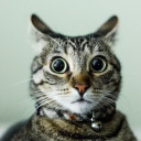 สมาชิกหมายเลข 5336041