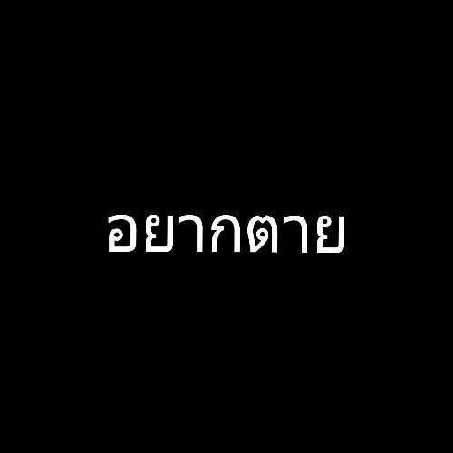 สมาชิกหมายเลข 5808057