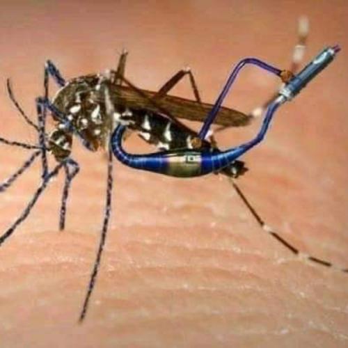 สมาชิกหมายเลข 5808131