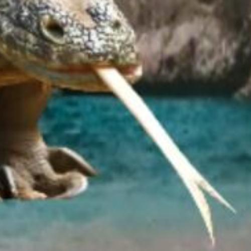 สมาชิกหมายเลข 6410635