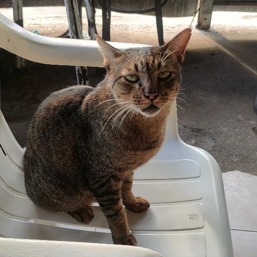 สมาชิกหมายเลข 3436867