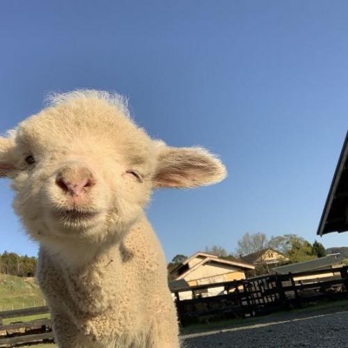 สมาชิกหมายเลข 7882565