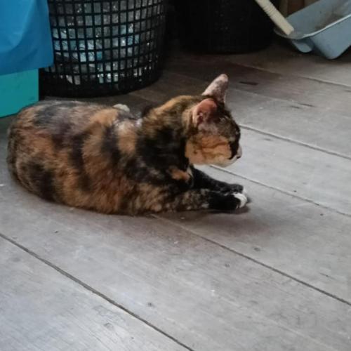 สมาชิกหมายเลข 5933066