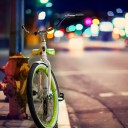 สมาชิกหมายเลข 3725154